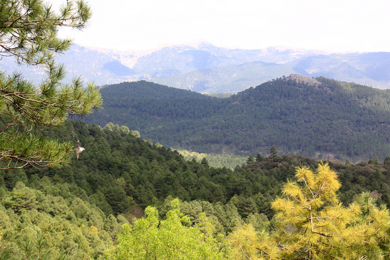 Xàtiva – Sierra de Cazorla - Peniscola 2017