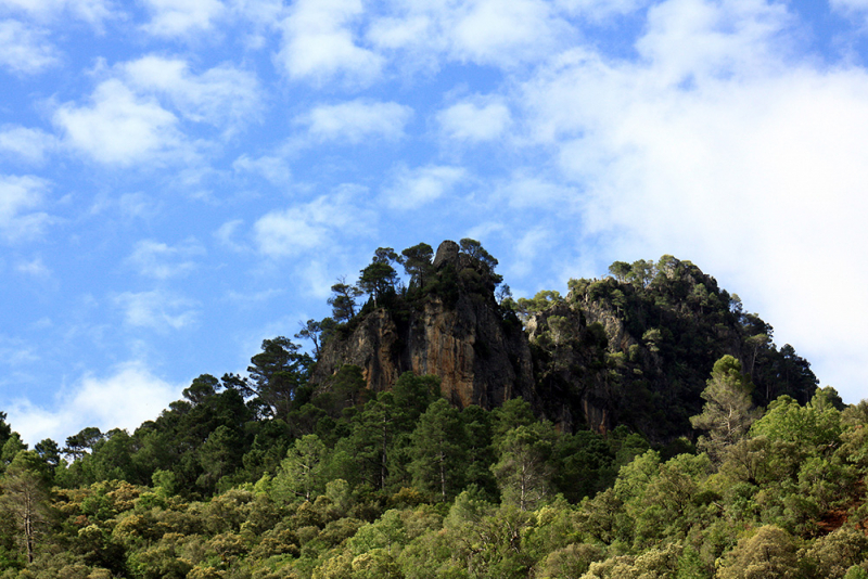 Xàtiva – Sierra de Cazorla - Peniscola 2017