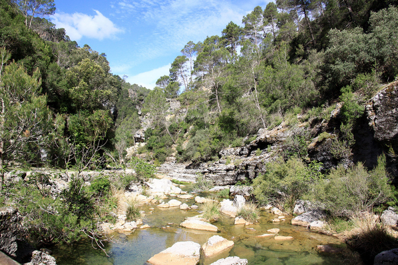 Xàtiva – Sierra de Cazorla - Peniscola 2017