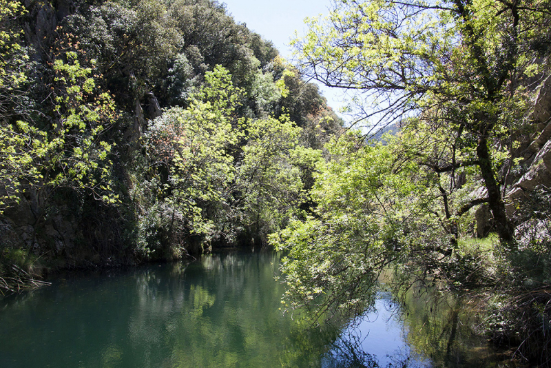 Xàtiva – Sierra de Cazorla - Peniscola 2017