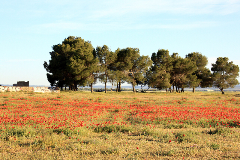 Xàtiva – Sierra de Cazorla - Peniscola 2017