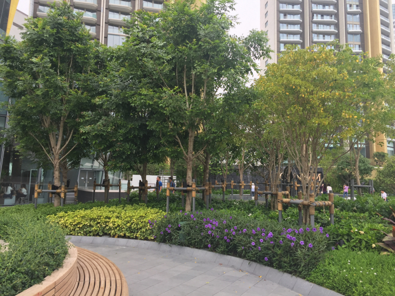 Что-то пошло не так в Таиланде. Тау-Панган-Самуи-БКК (январь 2019)