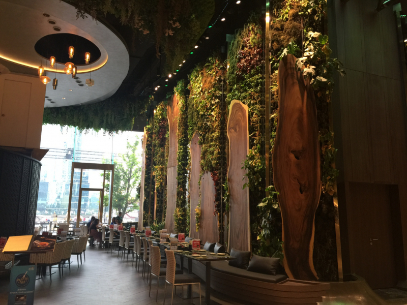 Что-то пошло не так в Таиланде. Тау-Панган-Самуи-БКК (январь 2019)