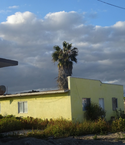 16 дней на разграбление Мексики. И ограбление по-мексикански как алаверды. 2019, февраль