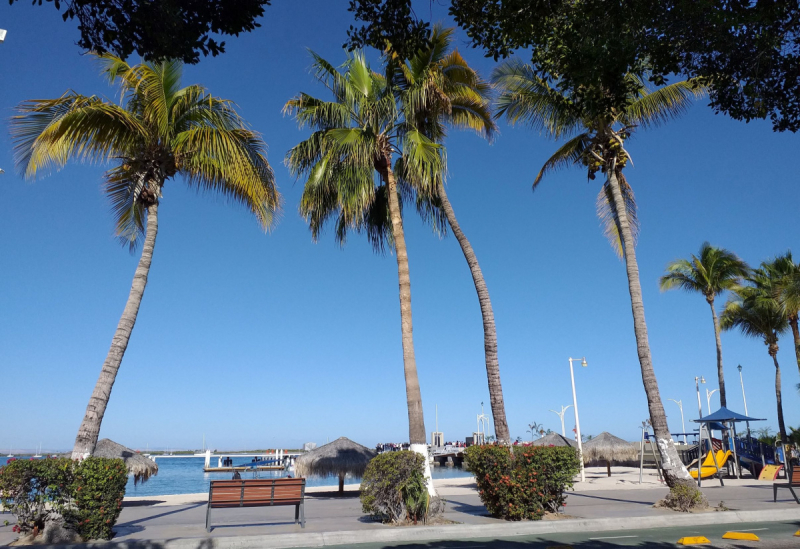 16 дней на разграбление Мексики. И ограбление по-мексикански как алаверды. 2019, февраль