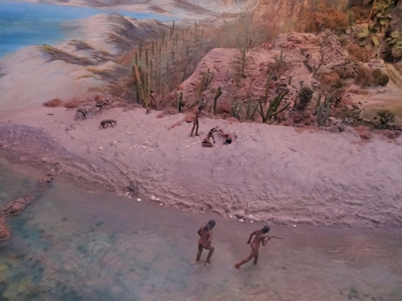 16 дней на разграбление Мексики. И ограбление по-мексикански как алаверды. 2019, февраль