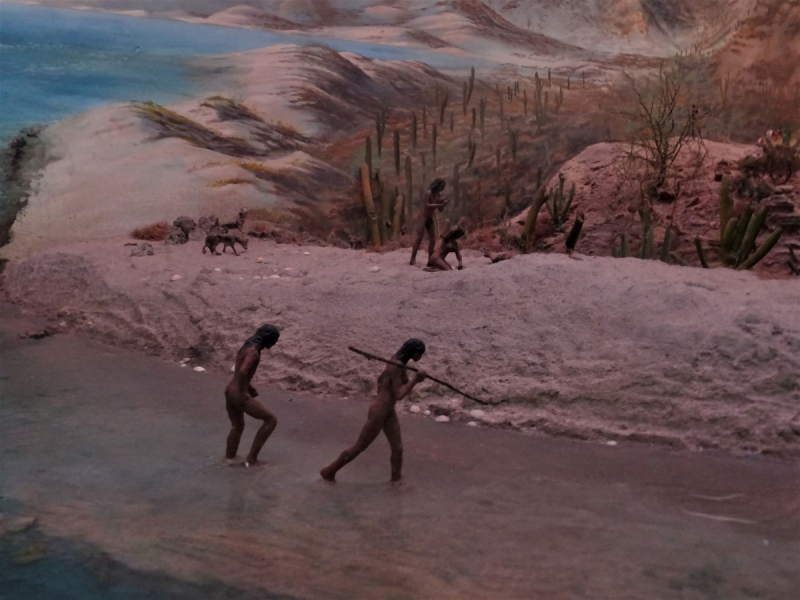 16 дней на разграбление Мексики. И ограбление по-мексикански как алаверды. 2019, февраль