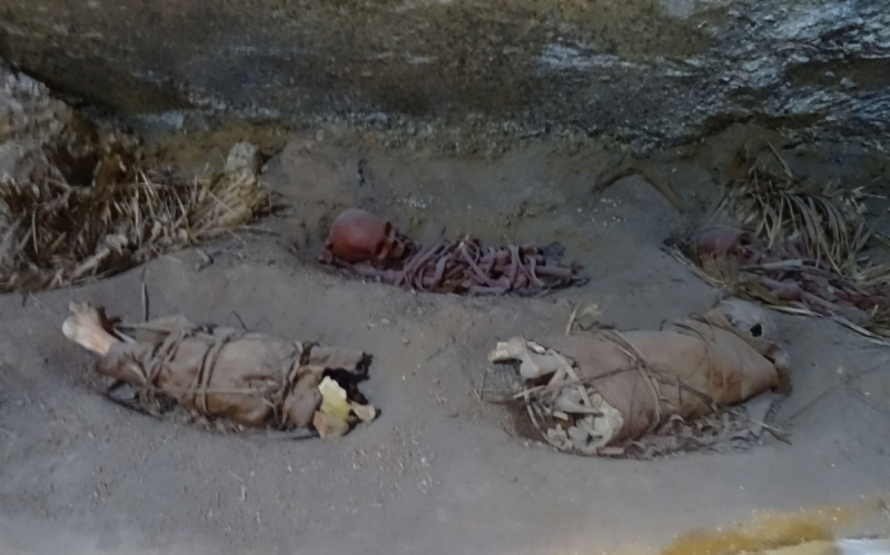 16 дней на разграбление Мексики. И ограбление по-мексикански как алаверды. 2019, февраль