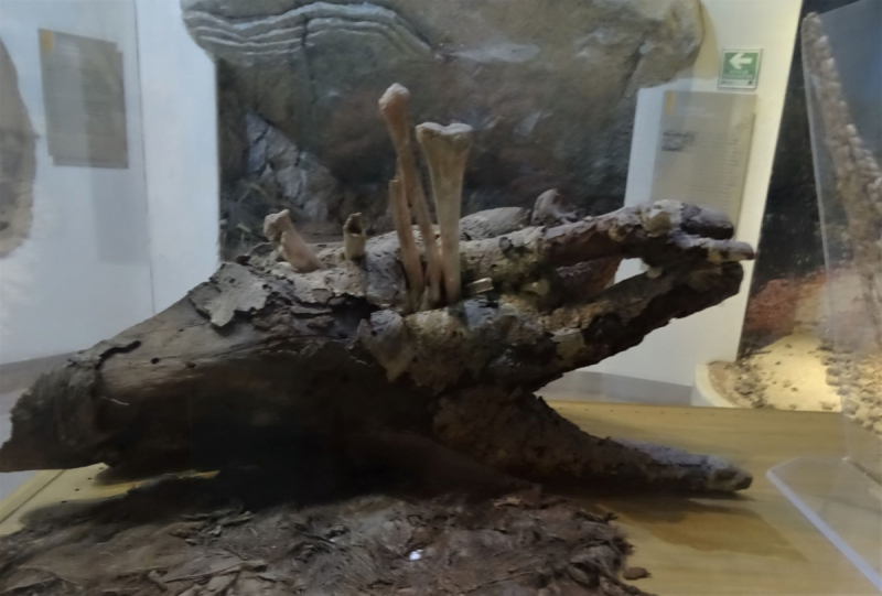 16 дней на разграбление Мексики. И ограбление по-мексикански как алаверды. 2019, февраль