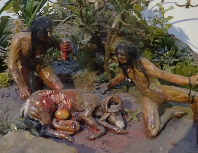 16 дней на разграбление Мексики. И ограбление по-мексикански как алаверды. 2019, февраль