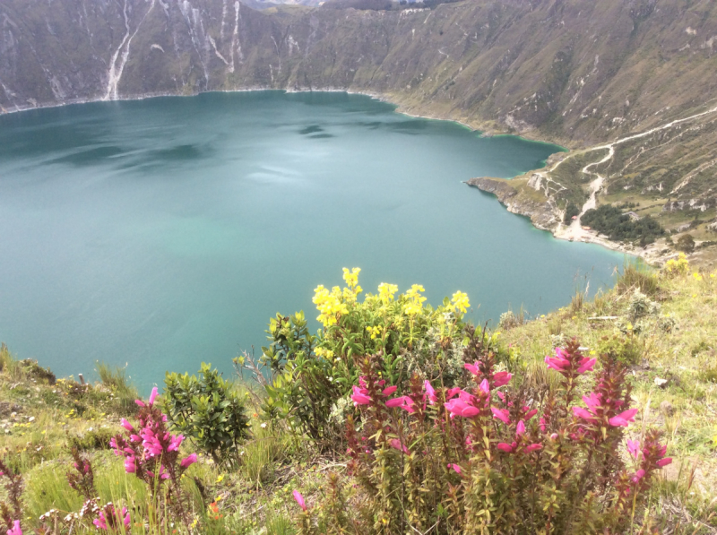 Перу-Боливия-Эквадор в прямом эфире