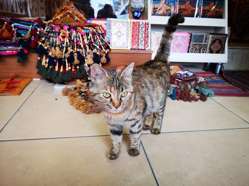 3 счастливых дня: майская Каппадокия