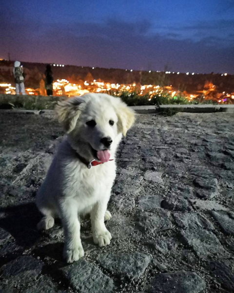 3 счастливых дня: майская Каппадокия