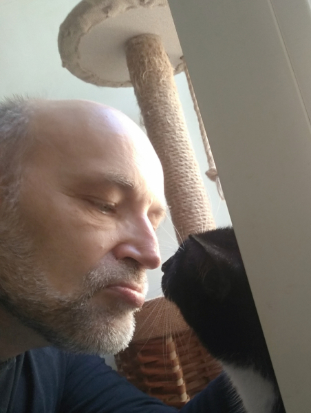 Кошки в нашей жизни. Кошки и все, что с ними связано.