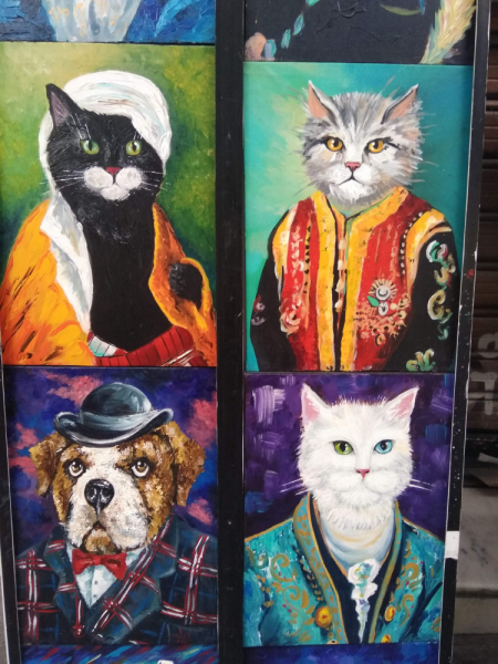 Кошки в нашей жизни. Кошки и все, что с ними связано.