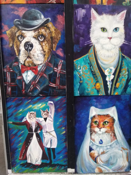 Кошки в нашей жизни. Кошки и все, что с ними связано.