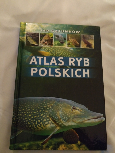 Томск–Брюссель–Амстердам–Санкт-Петербург–Томск в январе 2018