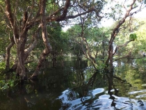 Камбоджа ноябрь 2011