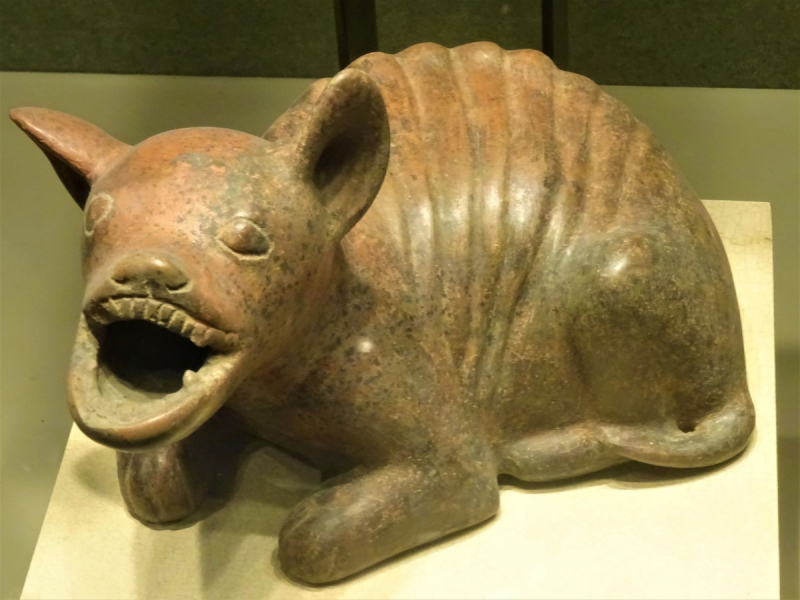 16 дней на разграбление Мексики. И ограбление по-мексикански как алаверды. 2019, февраль