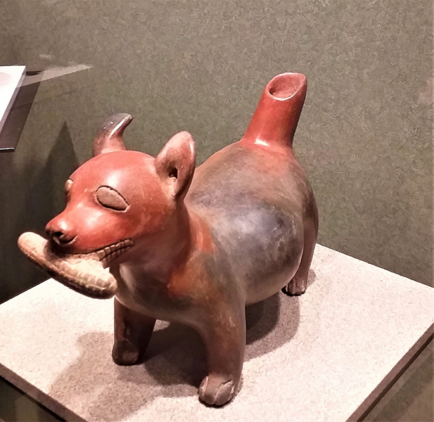 16 дней на разграбление Мексики. И ограбление по-мексикански как алаверды. 2019, февраль