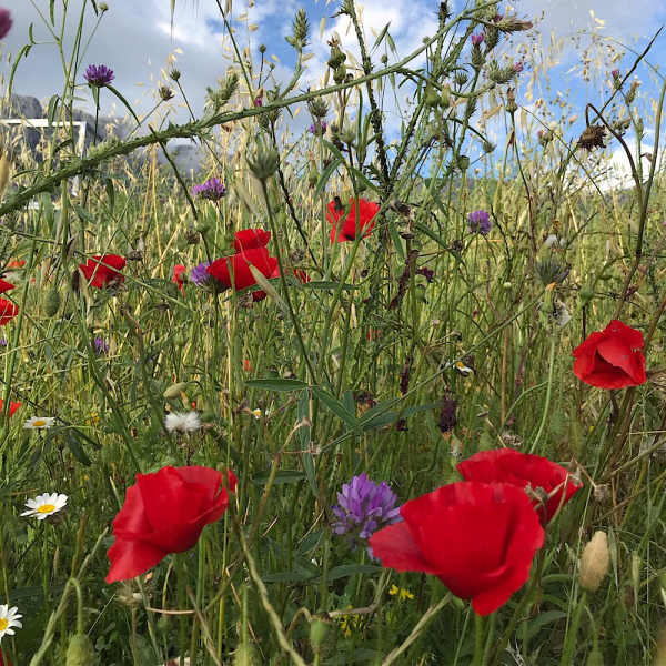 Наперегонки с летом. Москва-Хорватия-Испания-Москва и все, что между ними.