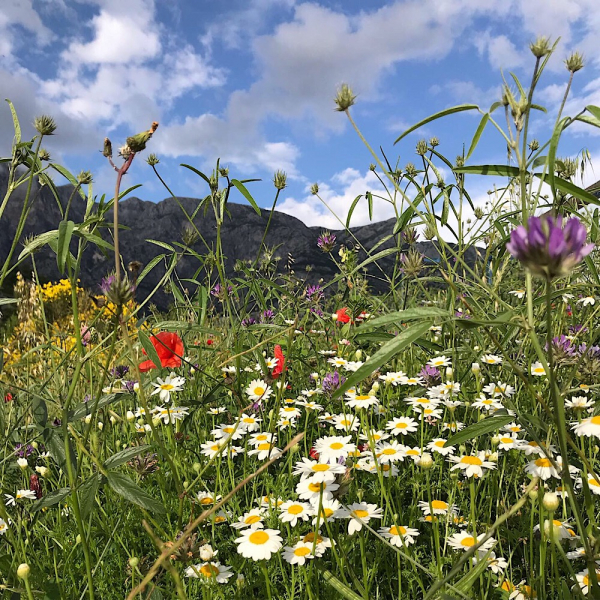 Наперегонки с летом. Москва-Хорватия-Испания-Москва и все, что между ними.