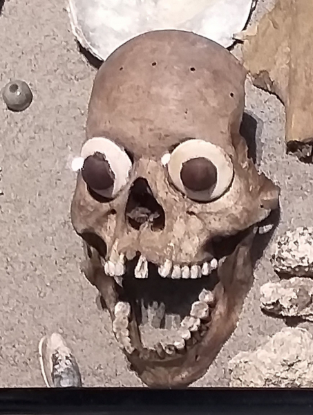 16 дней на разграбление Мексики. И ограбление по-мексикански как алаверды. 2019, февраль