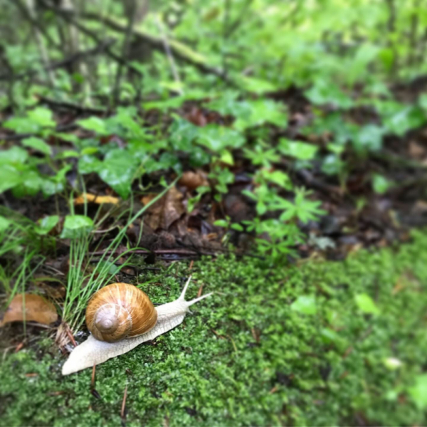 Наперегонки с летом. Москва-Хорватия-Испания-Москва и все, что между ними.