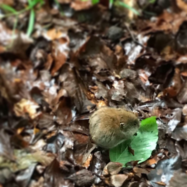 Наперегонки с летом. Москва-Хорватия-Испания-Москва и все, что между ними.