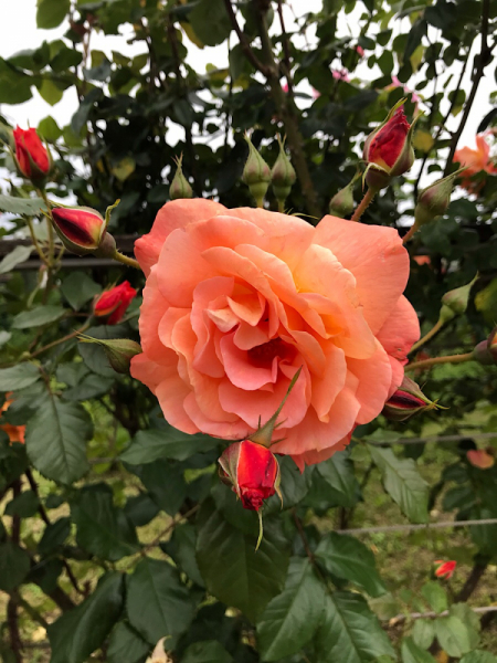 Наперегонки с летом. Москва-Хорватия-Испания-Москва и все, что между ними.