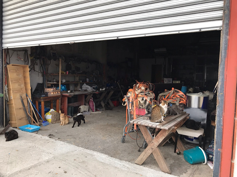 Наперегонки с летом. Москва-Хорватия-Испания-Москва и все, что между ними.