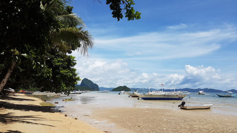 Discover TayTay Bay (Palawan) –Island hopping, snorkeling, ElNido-Coron-Puerto-Princessa, Dumaguete- Apo, Kookoo's Nest, Siquijor,Oslob in May 2019