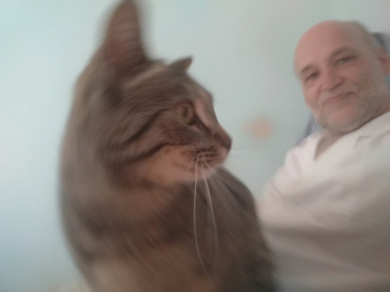 Кошки в нашей жизни. Кошки и все, что с ними связано.