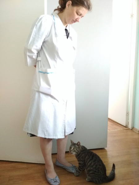 Кошки в нашей жизни. Кошки и все, что с ними связано.