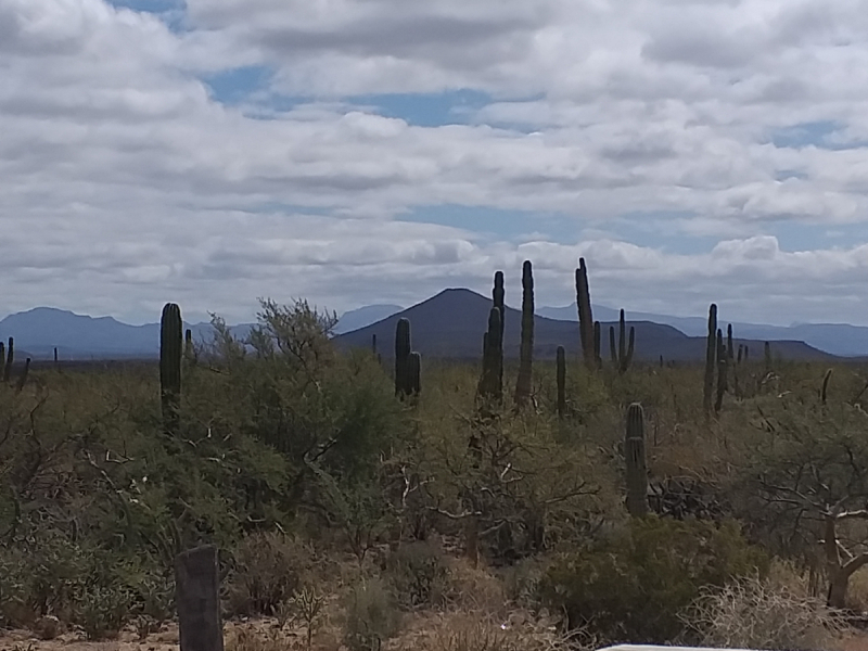 16 дней на разграбление Мексики. И ограбление по-мексикански как алаверды. 2019, февраль