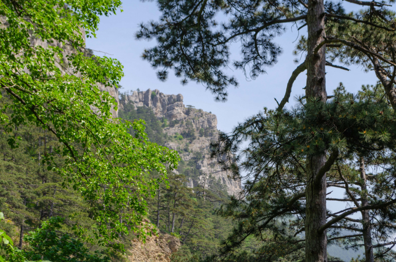 Отдых в Крыму на машине, май 2019