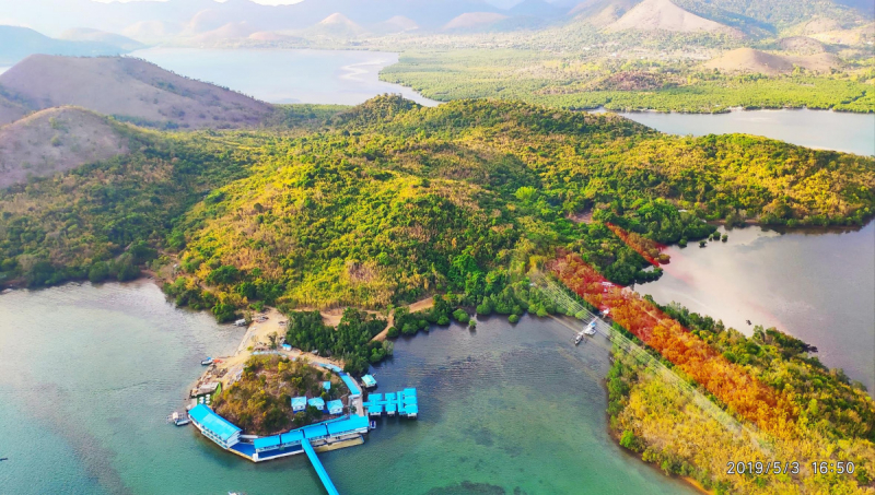 Discover TayTay Bay (Palawan) –Island hopping, snorkeling, ElNido-Coron-Puerto-Princessa, Dumaguete- Apo, Kookoo's Nest, Siquijor,Oslob in May 2019