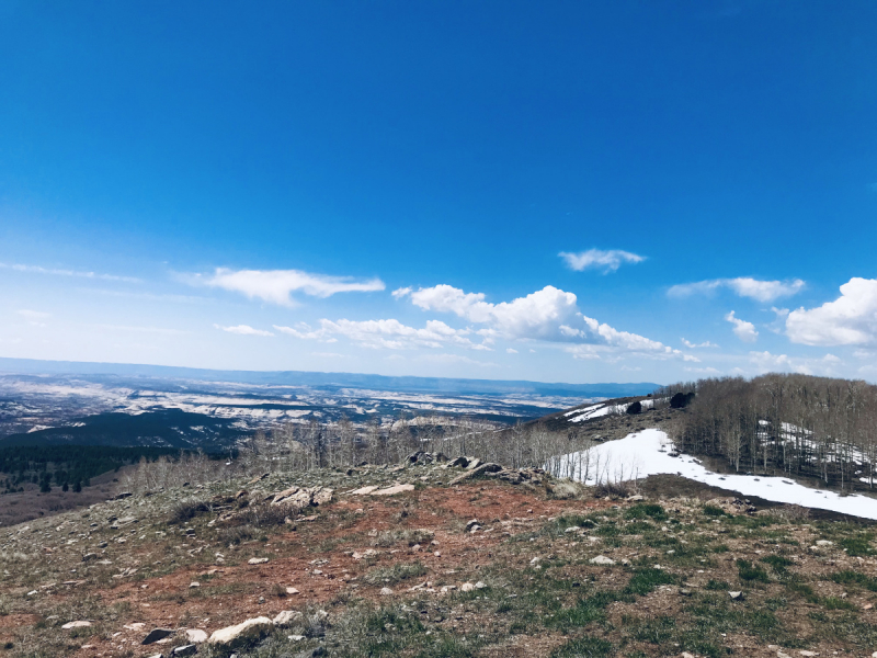 Парки Запада США, включая Yellowstone и Grand Teton. 2-13 мая.