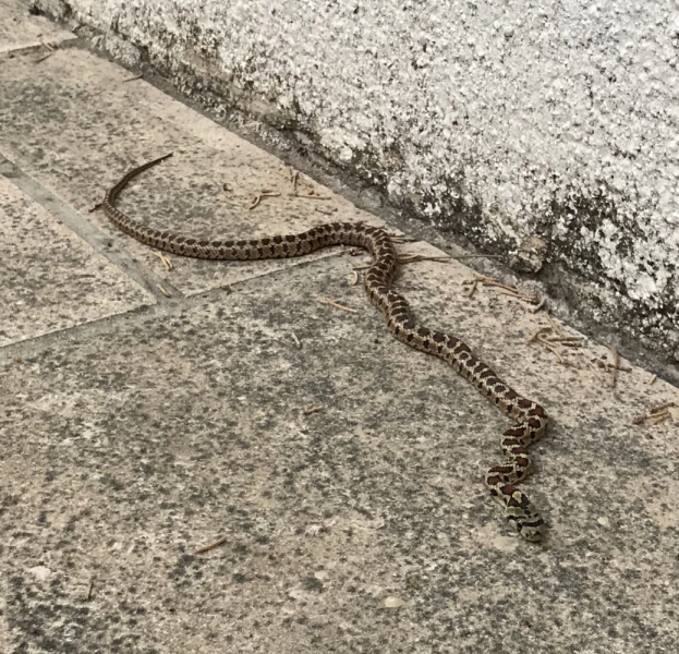 Наперегонки с летом. Москва-Хорватия-Испания-Москва и все, что между ними.