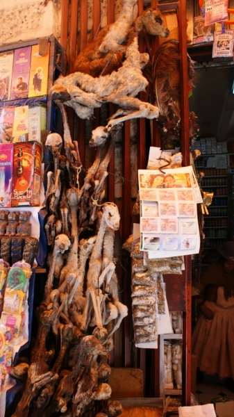 Перу,Боливия, Чили  (о. Пасхи) в июле