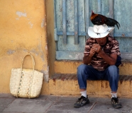 Животные Кубы. Немного. Ноябрь 2011