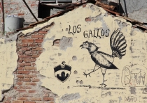 Животные Кубы. Немного. Ноябрь 2011