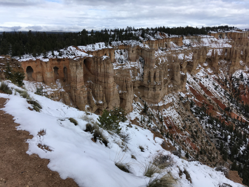 Парки Запада США, включая Yellowstone и Grand Teton. 2-13 мая.