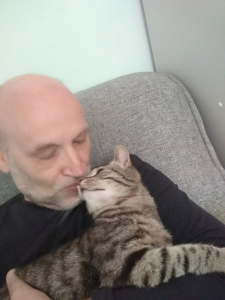 Кошки в нашей жизни. Кошки и все, что с ними связано.