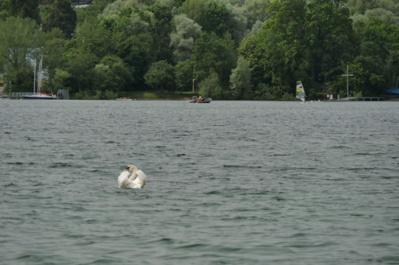 Боденское озеро / Bodensee - лучше сейчас, чем никогда.