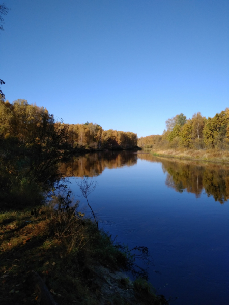 Мещера. База отдыха Полушкино. Отдых отверженных, достоинством в наполовину…