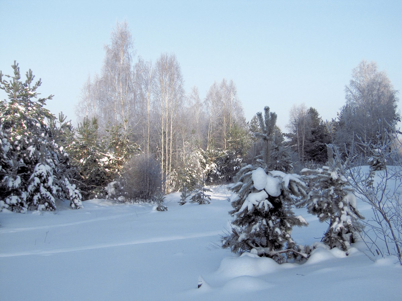 Мещера. База отдыха Полушкино. Отдых отверженных, достоинством в наполовину…