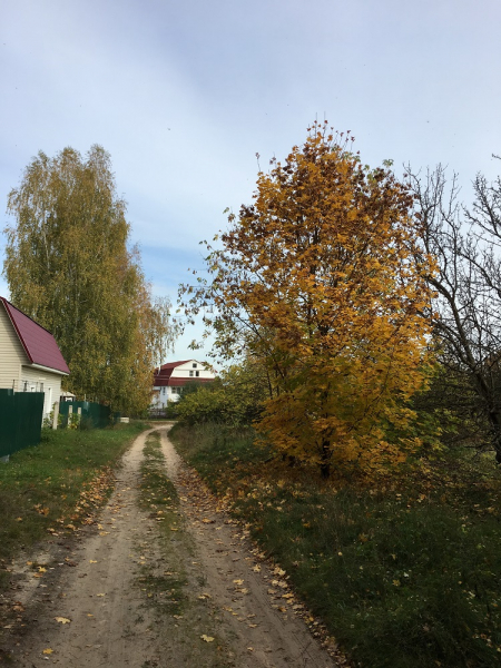 Мещера. База отдыха Полушкино. Отдых отверженных, достоинством в наполовину…