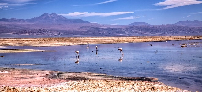 Перу,Боливия, Чили  (о. Пасхи) в июле