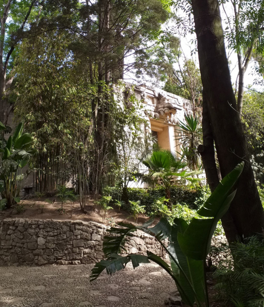 16 дней на разграбление Мексики. И ограбление по-мексикански как алаверды. 2019, февраль